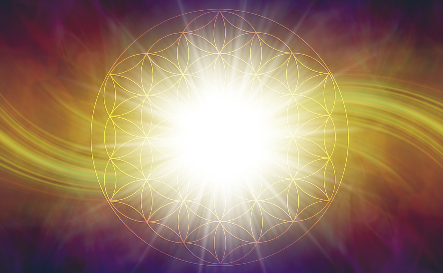 Der Kreis des Lebens