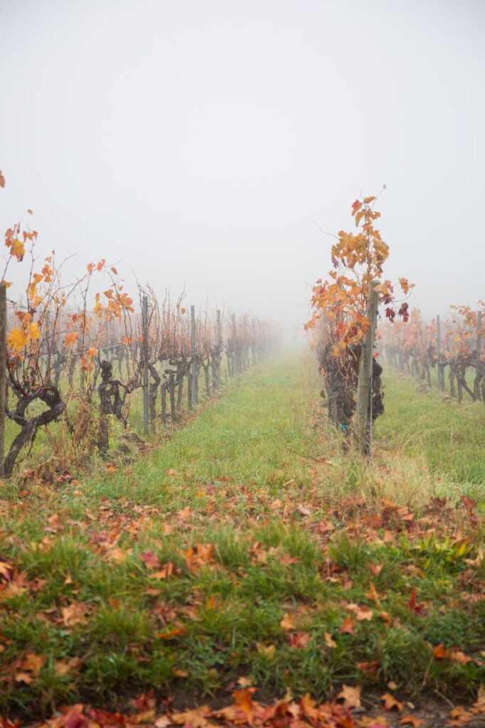 Anita spandl_trauerreden